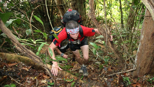 jungle marathon trail running running jungles palms tree roots