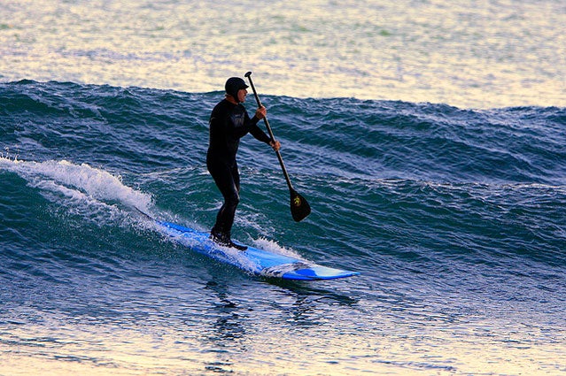 Paddle Surfer