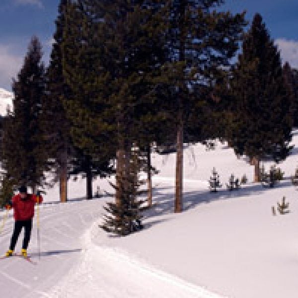 Lone Mountain Ranch
