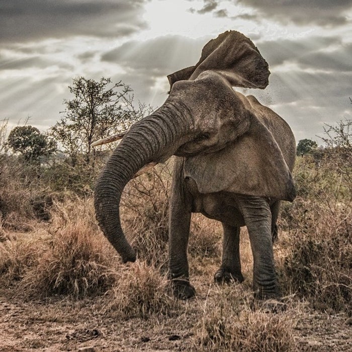 Andy Mann Adventures on Instagram
