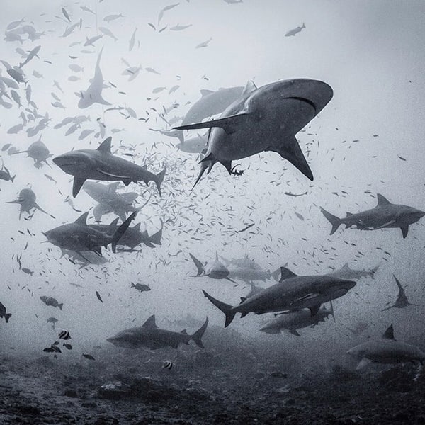 Andy Mann Adventures on Instagram