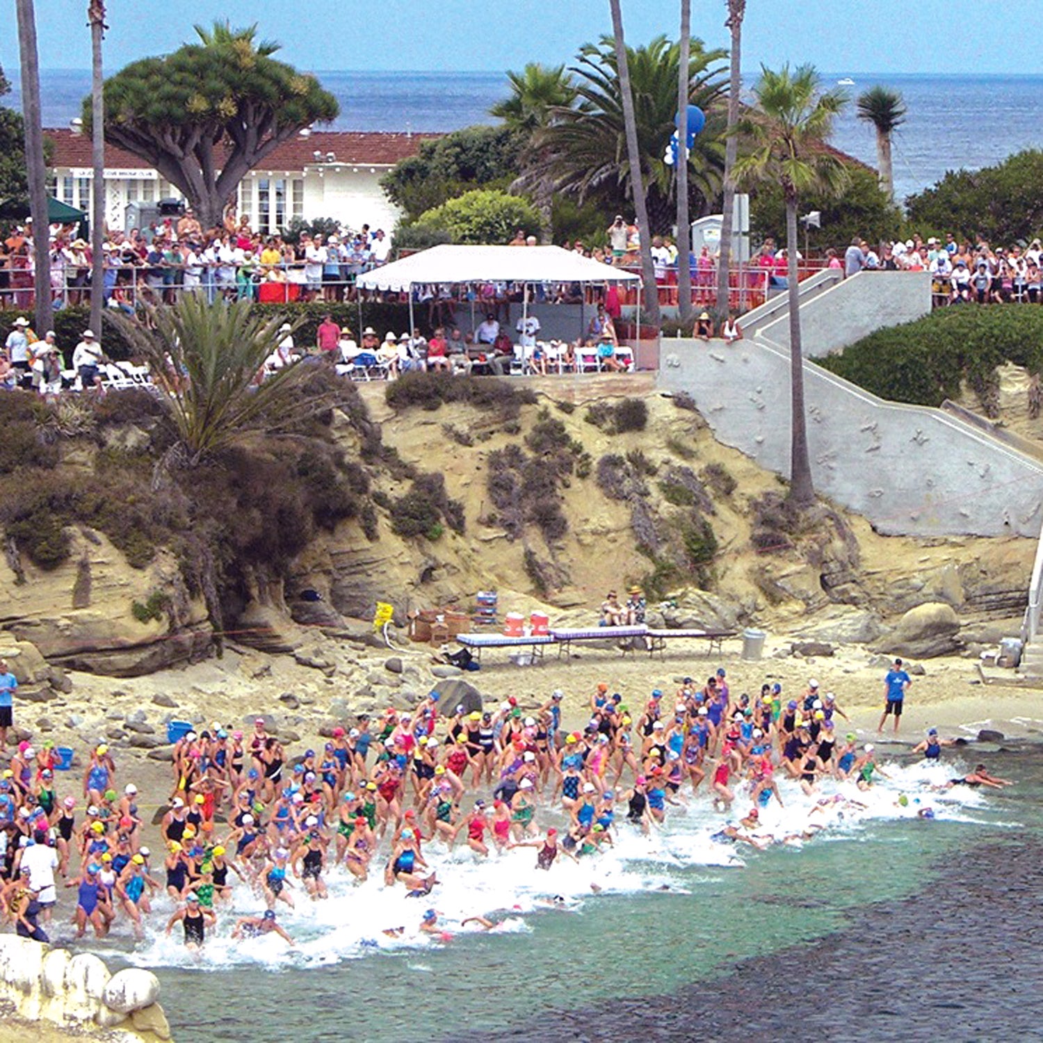 la jolla rough water swim race report