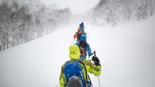 Japan Japow Skiing Sweetgrass Niseko