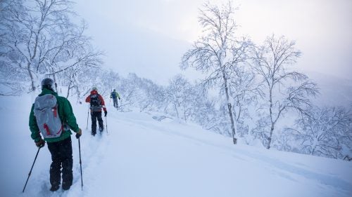 Japan Japow Skiing Sweetgrass Niseko