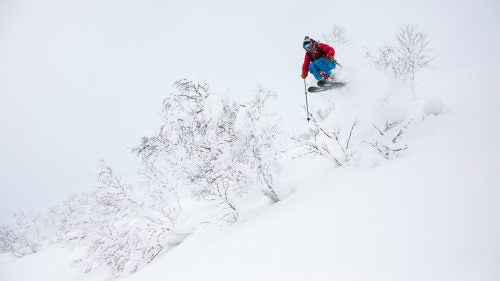 Japan Japow Skiing Sweetgrass Niseko