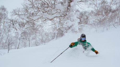 Japan Japow Skiing Sweetgrass Niseko