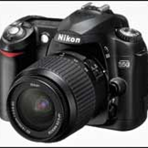 D50