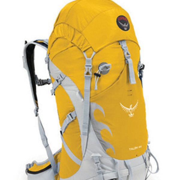 The Talon 44