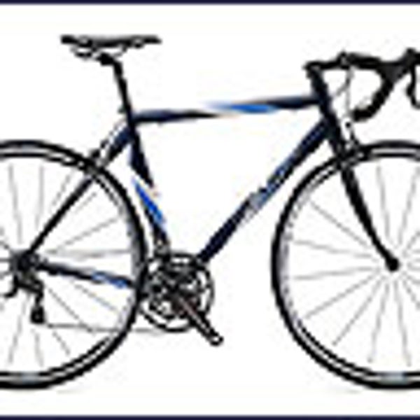 Marin Verona