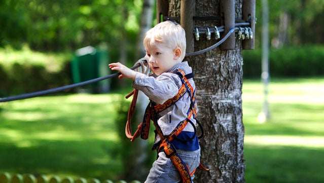 zipline backyard ziplining outside gear guy