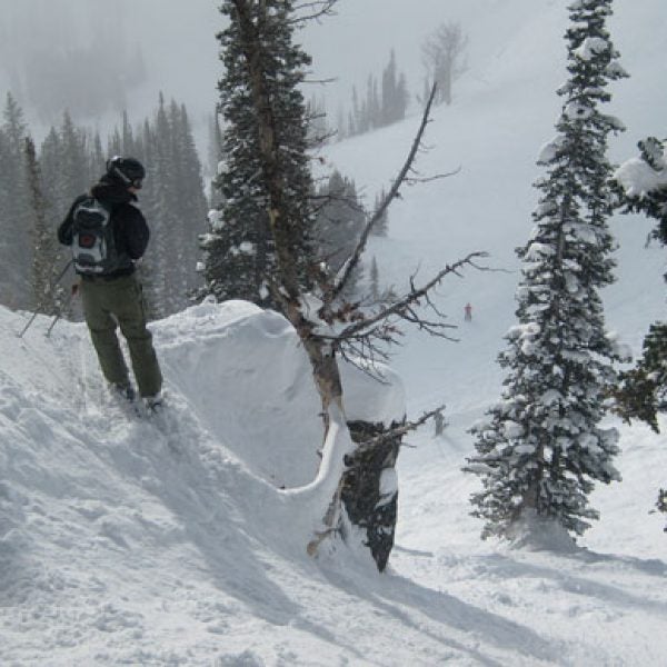 Checking out a drop in Jackson Hole's Cirque Bowl
