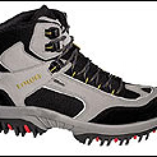 Whistler GTX
