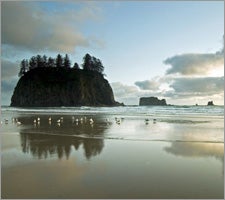 Olympic National Park's Second Beach