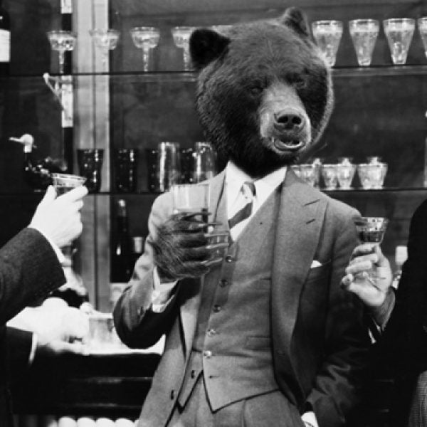 Bears do have a taste for brews.
