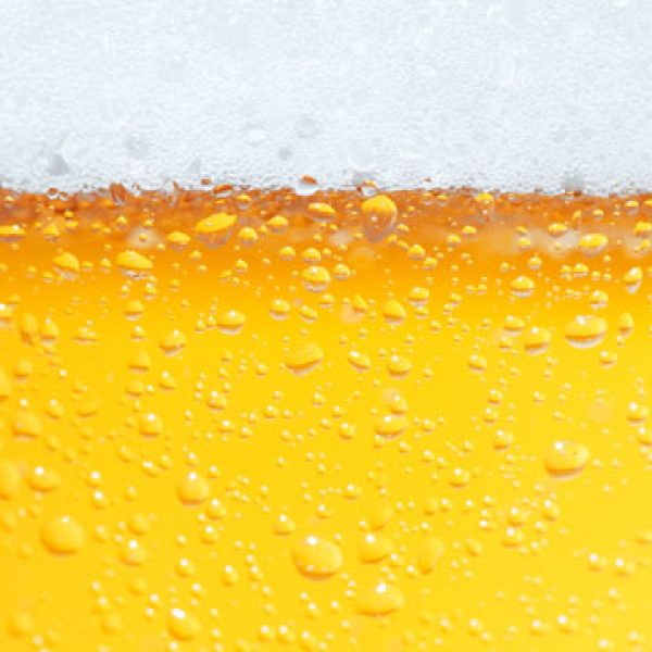 beer microbrew craft beer east coast