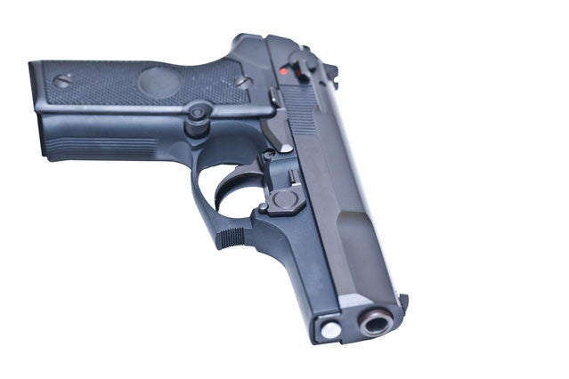 Going to a national park? You might want to leave that gun at home.