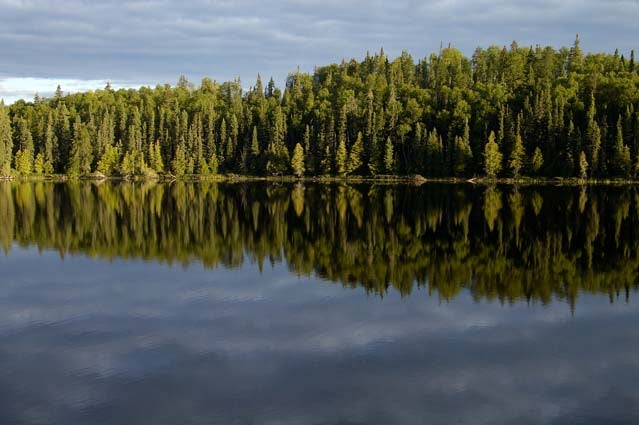 Edge of the Wilderness
