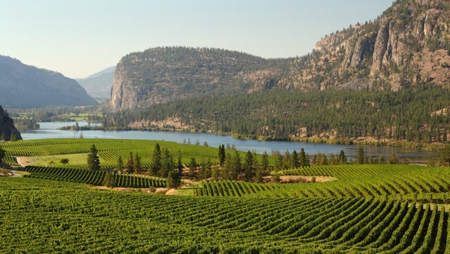 okanagan valley hike drunk hiking drinking