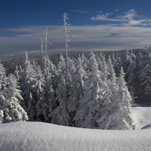 Snowshoe Mountain.