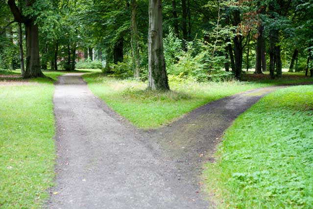 Forked path