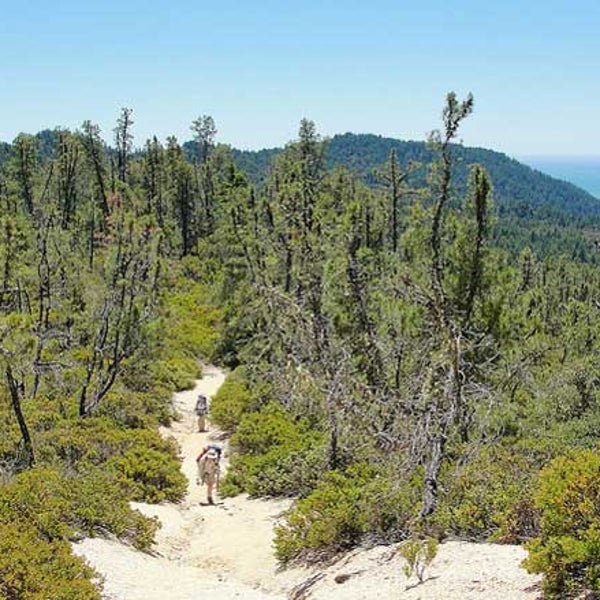 Big Basin Redwoods State Park
