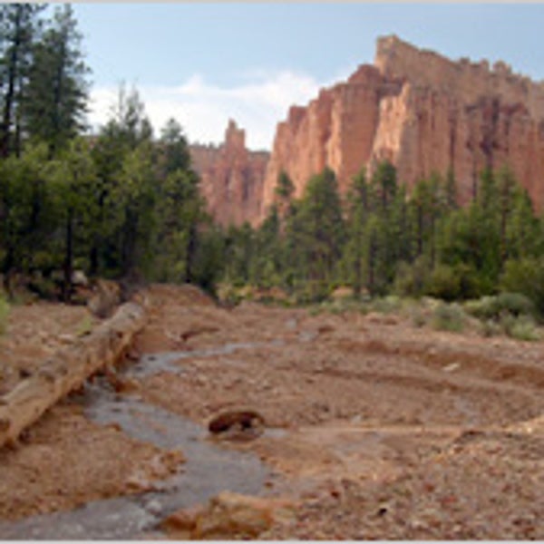 Under-the-Rim Trail