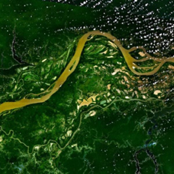 The Amazon, as seen from space.