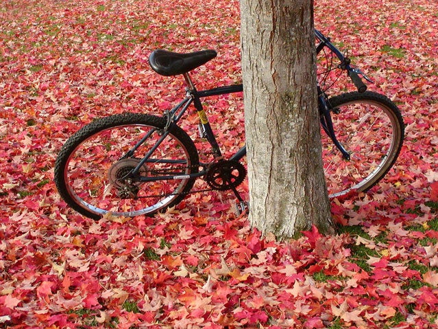 Autumn in Ashland Oregon