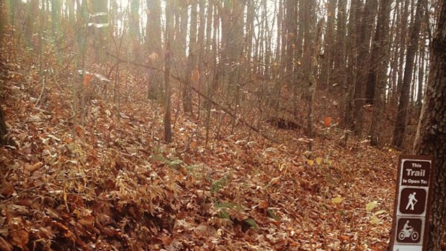 sheltowee trace trail hike drunk hiking drinking