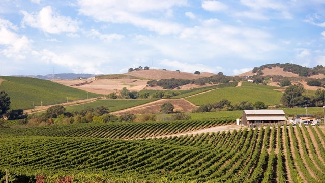 california napa and sonoma drinking outdoors hiking