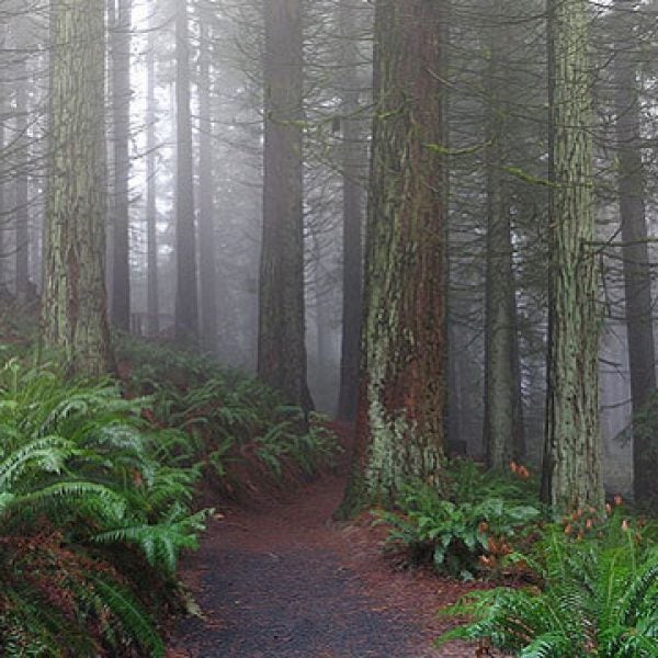 Portland, Oregon