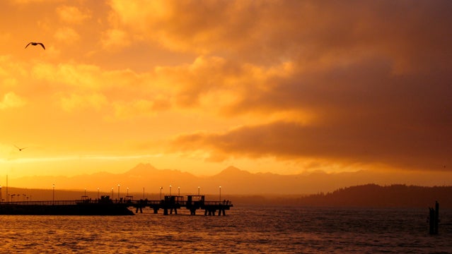 puget sound ferry trips seattle pacific coast water sunsets