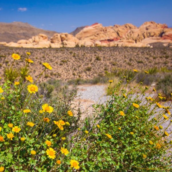 Red Rock Canyon.