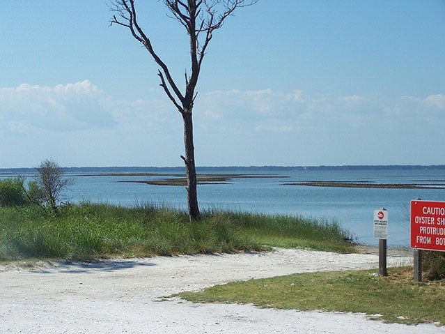 St. George Island State Park, Florida.