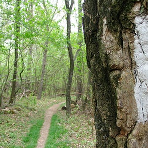 appalachian trail ask an expert adventure adviser best hikes