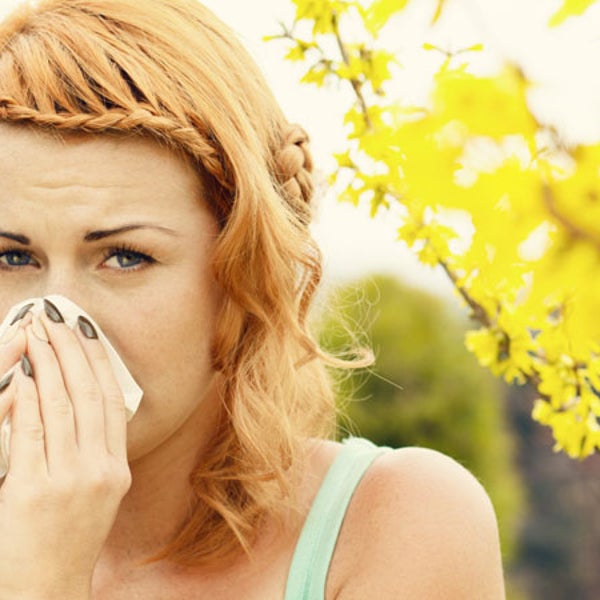 spring has sprung allergy