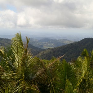 El Yunque rainforest national forest forest tropical Puerto Rico Luquillo Mountains mountains island trees panoramic panorama palm trees palms lush