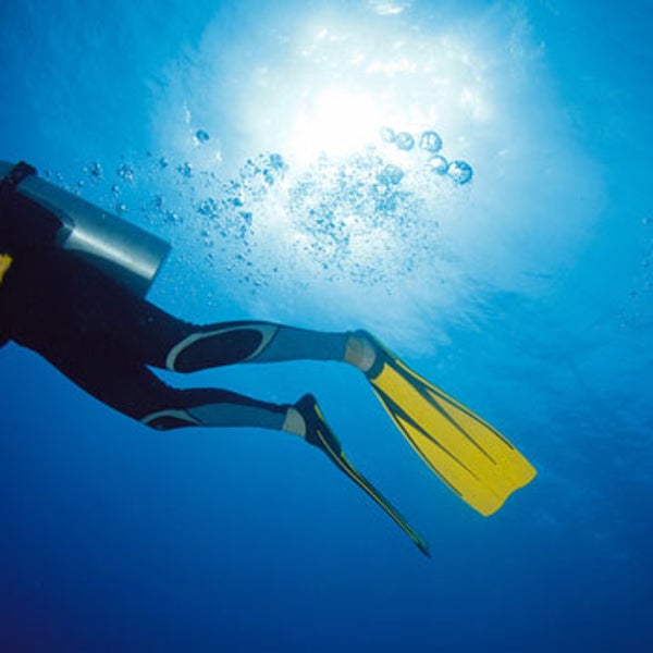 scuba diving diving scuba