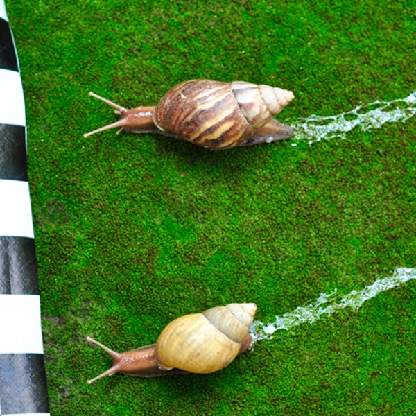 You might not set a PR, but you'll be able to cross the finish line if you set the right goals.