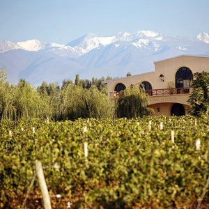 A bike wheeling to each of Argentina's Bodegas is fuel-free, but you will need to fill up your empty wine carafe--many times.