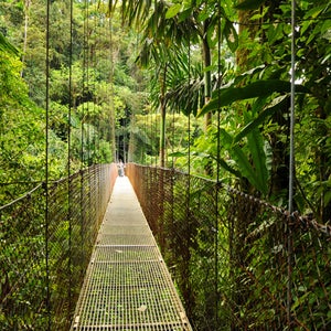 costa rica, adventure, vacation, hanging bridges, costa rica arenal national park