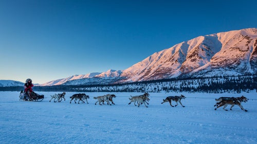 2014 iditarod iditarod iditarod 2014 puntilla lake rainy pass