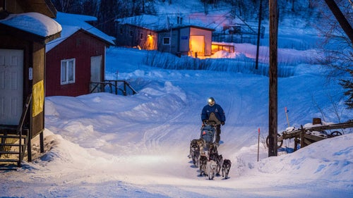 2014 iditarod iditarod iditarod 2014 ruby