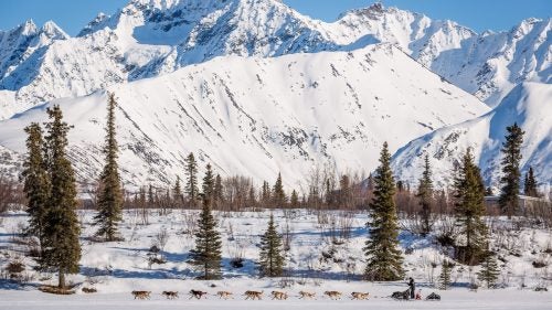 2014 iditarod iditarod iditarod 2014 rainy pass