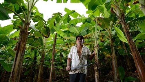 The Machete Project Machete Travel OutsideOnline