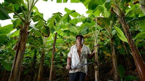 The Machete Project Machete Travel OutsideOnline