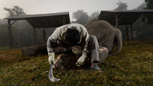 The Machete Project Machete Travel OutsideOnline