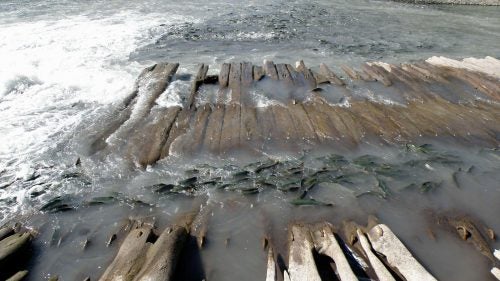 American Rivers Endagered Rivers OutsideOnline