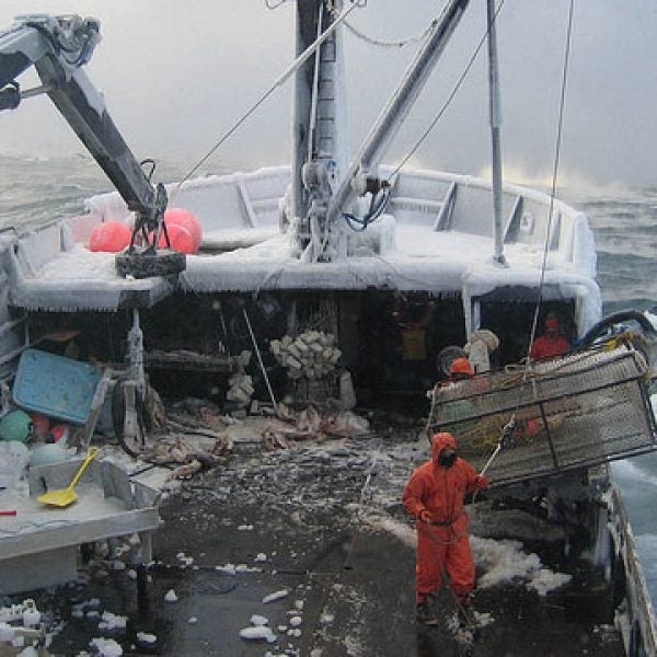 bering sea crabs fishing boat alaska