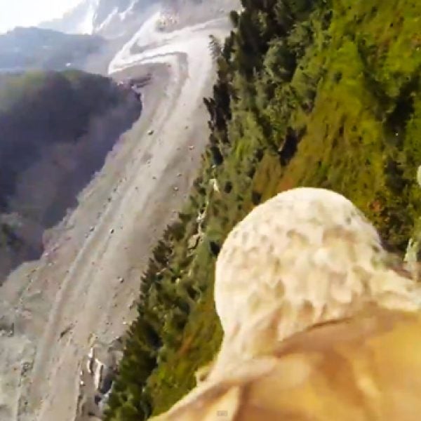 eagle pov point of view chamonix